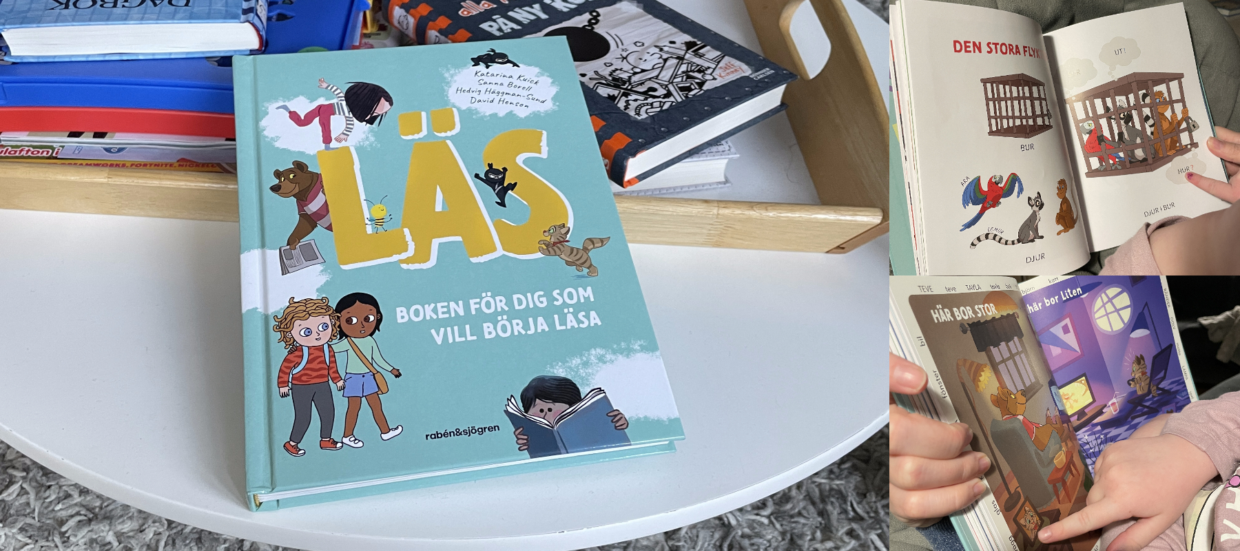 Recension av Katarina Kuicks bok "Läs: Boken för dig som vill börja läsa"