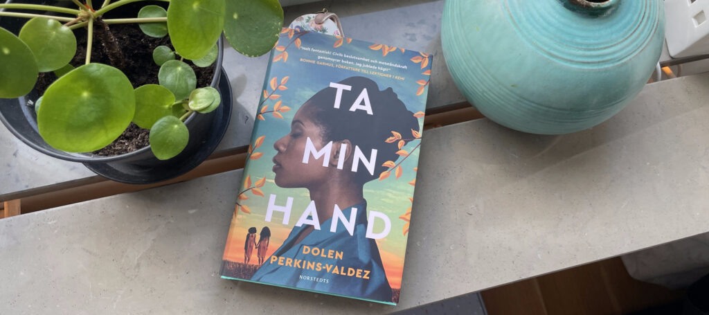 Recension av romanen "Ta min hand", skriven av Dolen Perkins-Valdez