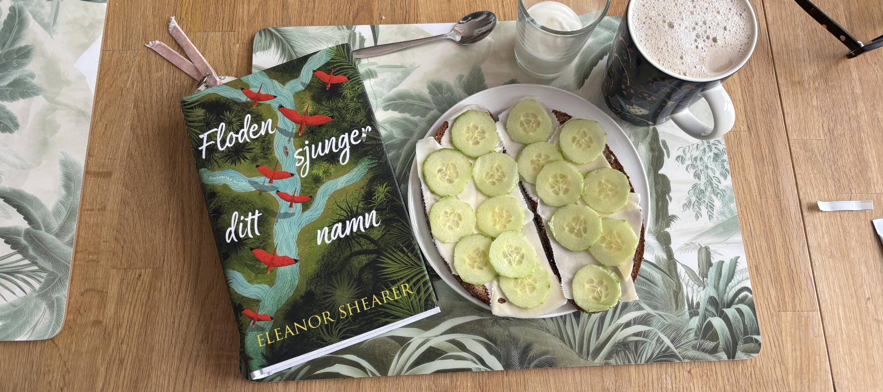 Recension av Eleanor Shearers bok "Floden sjunger ditt namn"