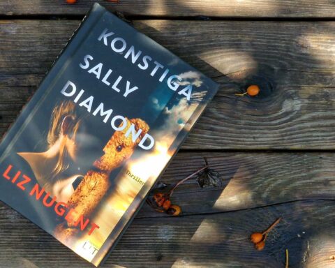 Konstiga Sally Diamond av Liz Nugent Recension