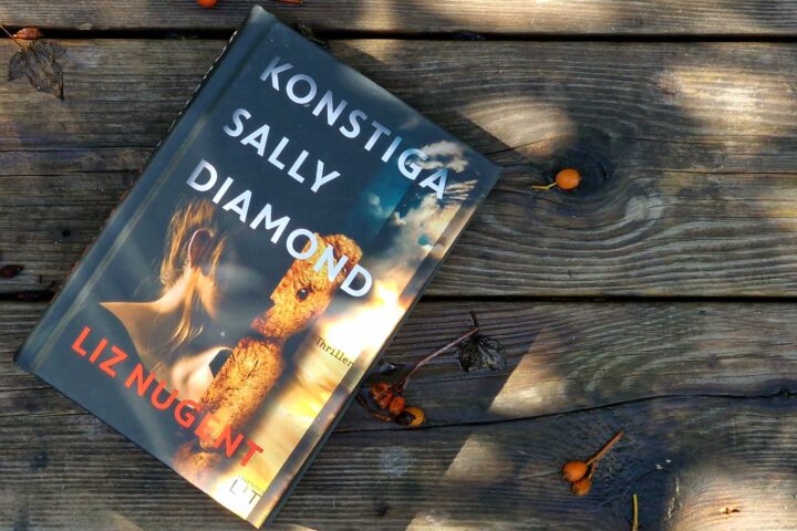 Konstiga Sally Diamond av Liz Nugent Recension