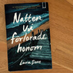 Recension av Laura Daves roman "Natten vi förlorade honom"