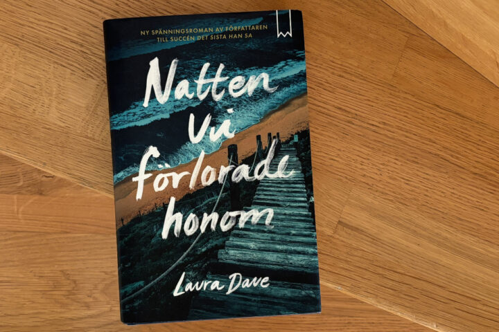 Recension av Laura Daves roman "Natten vi förlorade honom"