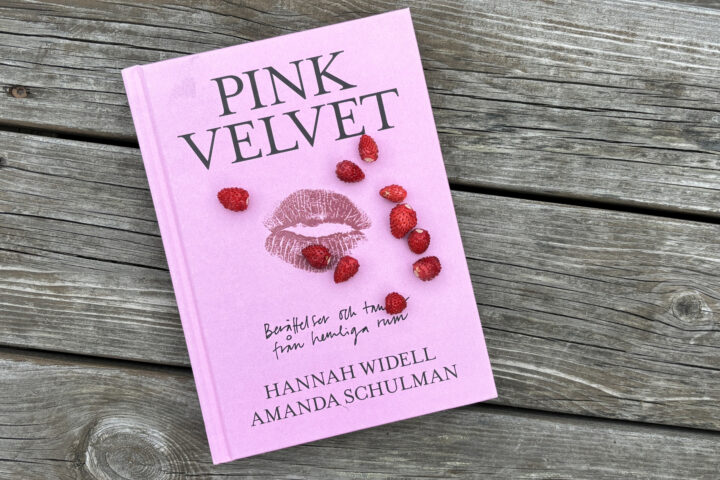 Recension av "Pink Velvet: Berättelser och tankar från hemliga rum" av Amanda Schulman och Hannah Widell