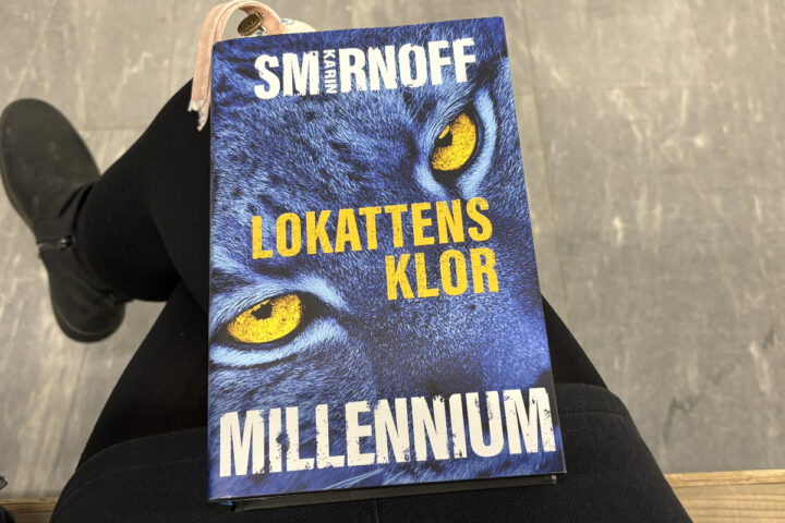 Recension av Karin Smirnoffs "Lokattens djur", del 8 i Millenium-serien