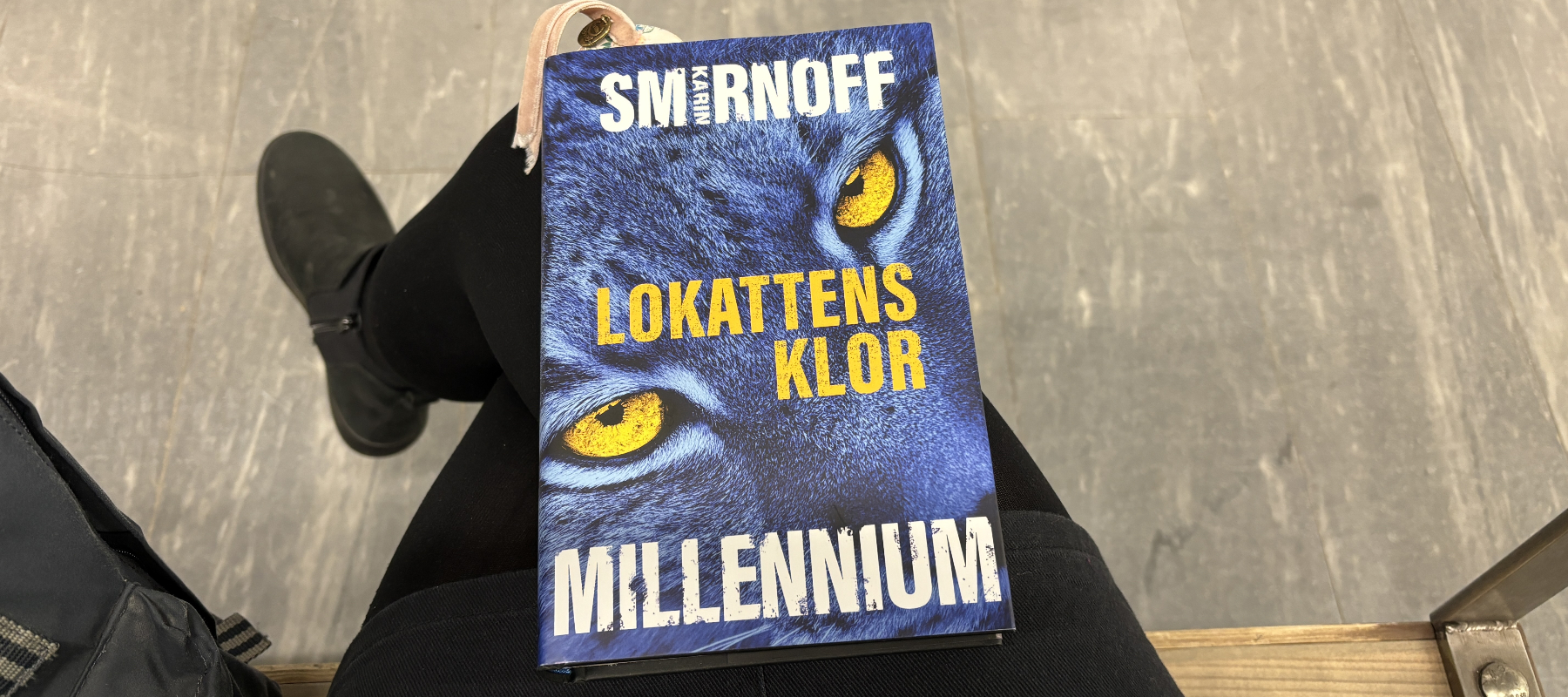 Recension av Karin Smirnoffs "Lokattens djur", del 8 i Millenium-serien