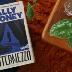 Sally Rooney Intermezzo Recension