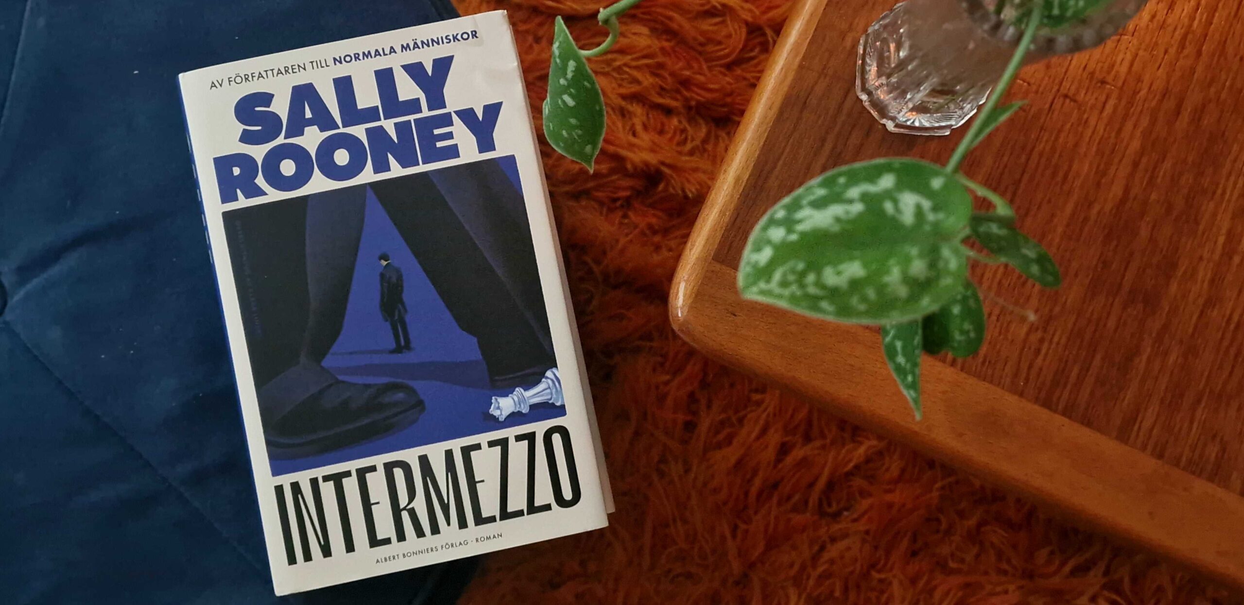 Sally Rooney Intermezzo Recension