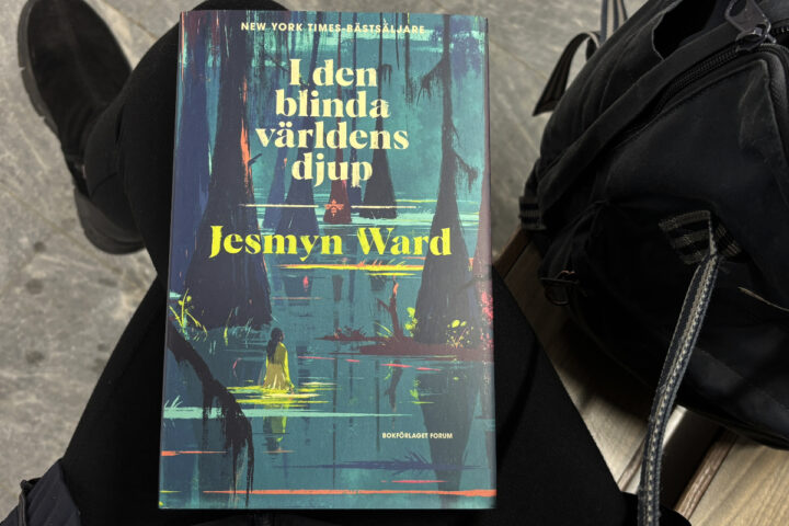 Recension av "I den blinda världens djup", en historisk roman av Jesmyn Ward.