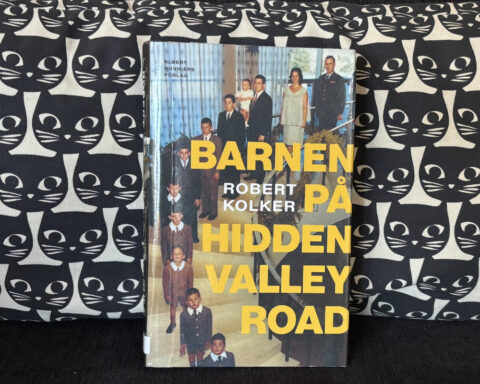 Recension av Robert Kolkers "Barnen på Hidden Valleyroad", en fascinerande bok om schizofreni