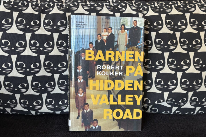 Recension av Robert Kolkers "Barnen på Hidden Valleyroad", en fascinerande bok om schizofreni