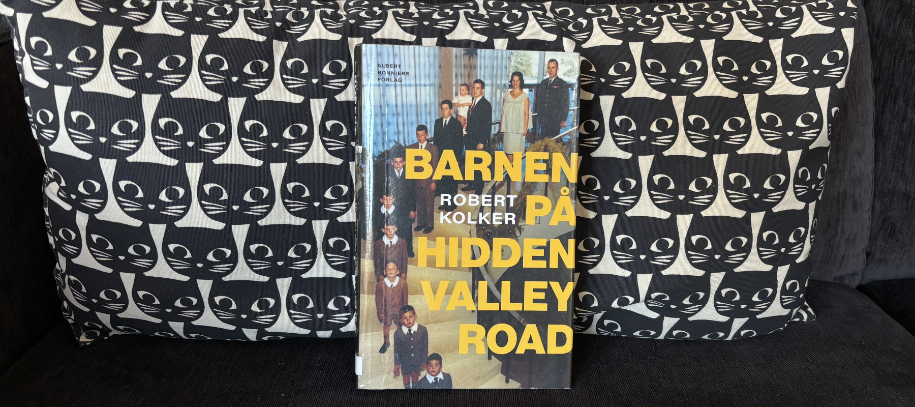 Recension av Robert Kolkers "Barnen på Hidden Valleyroad", en fascinerande bok om schizofreni