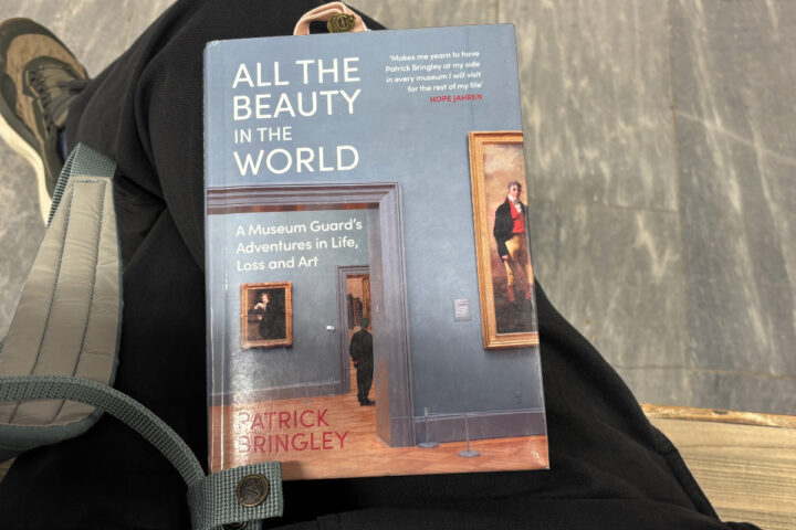 Recension av "All the beauty in the world" av museivakten Patrick Bringley