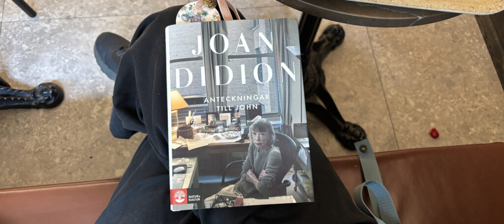 Recension av "Anteckningar till John", skriven av Joan Didion och postumt utgiven