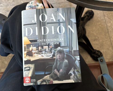 Recension av "Anteckningar till John", skriven av Joan Didion och postumt utgiven