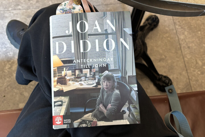 Recension av "Anteckningar till John", skriven av Joan Didion och postumt utgiven