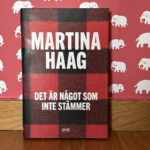 Recension av "Det är något som inte stämmer" av Martina Haag, som blir film år 2025