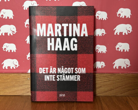 Recension av "Det är något som inte stämmer" av Martina Haag, som blir film år 2025