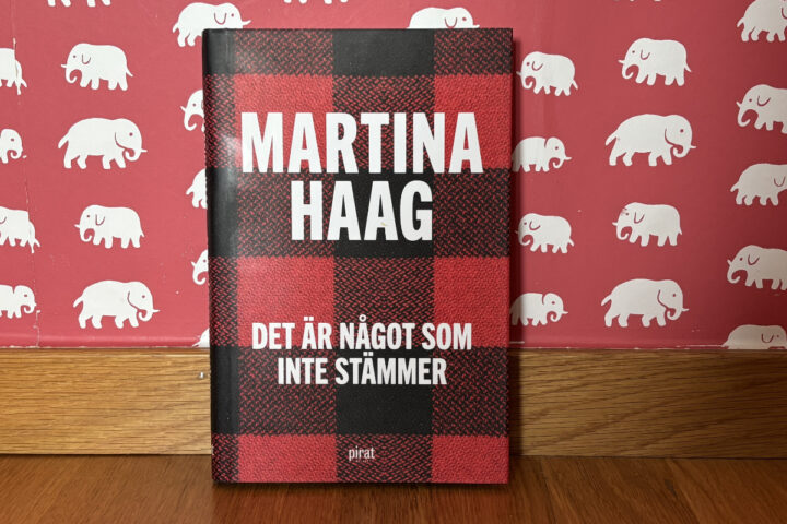 Recension av "Det är något som inte stämmer" av Martina Haag, som blir film år 2025