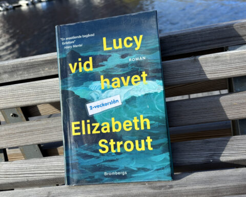 Recension av "Lucy vid havet", en roman om Lucy Barton av Elizabeth Strout