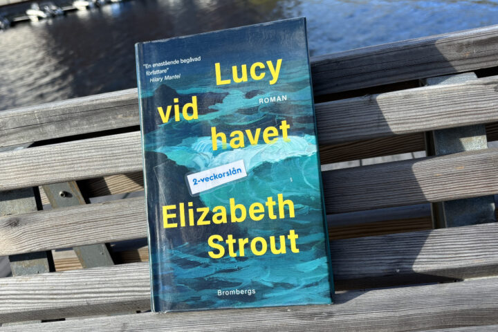 Recension av "Lucy vid havet", en roman om Lucy Barton av Elizabeth Strout