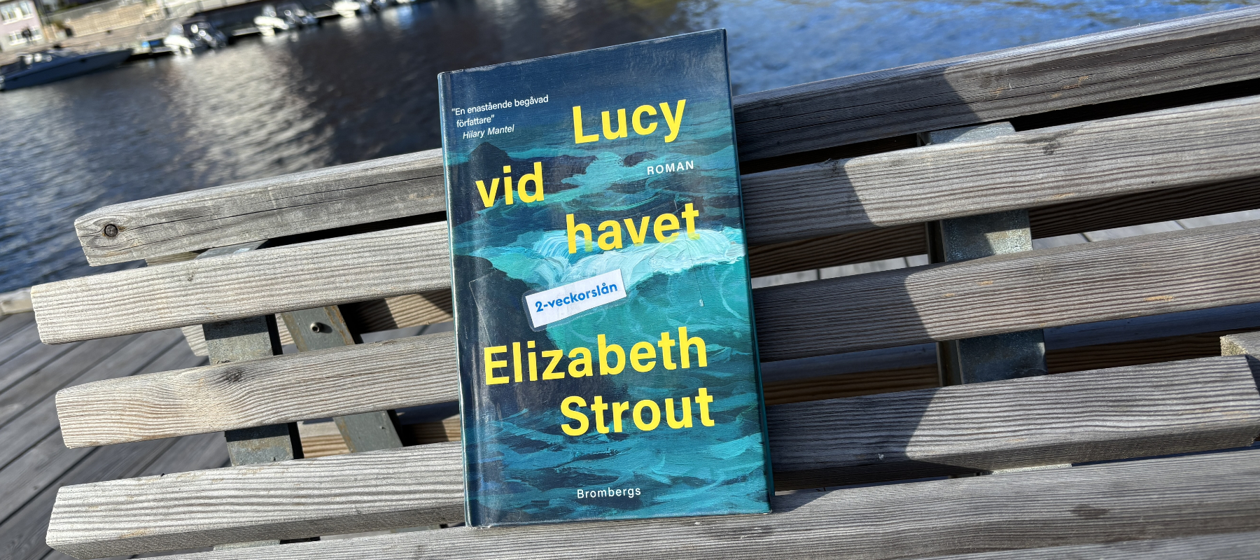 Recension av "Lucy vid havet", en roman om Lucy Barton av Elizabeth Strout