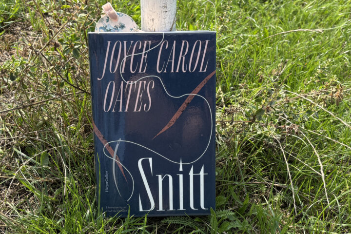 Recension av "Snitt" av Joyce Carol Oates