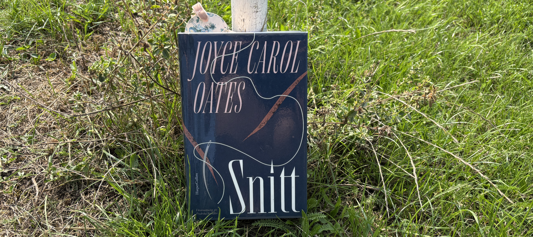 Recension av "Snitt" av Joyce Carol Oates