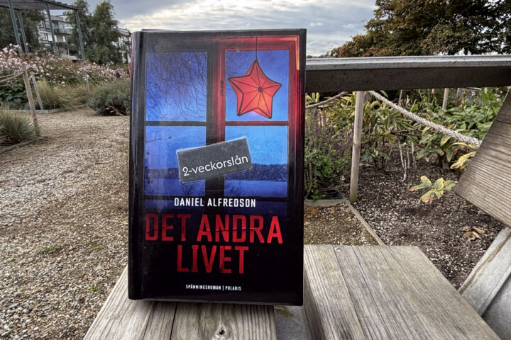 Recension av thriller och spionromanen "Det andra livet" skriven av filmregissören Daniel Alfredson
