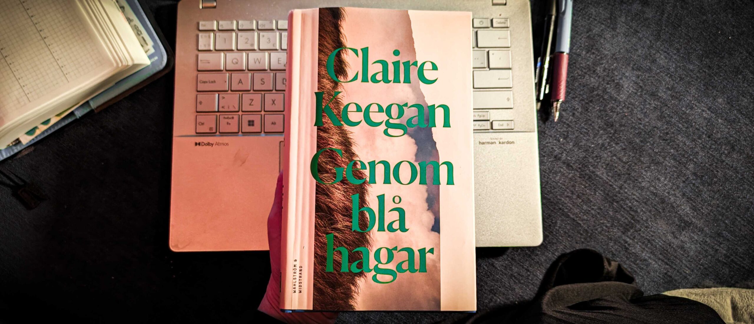 "Genom blå hagar" av Claire Keegan