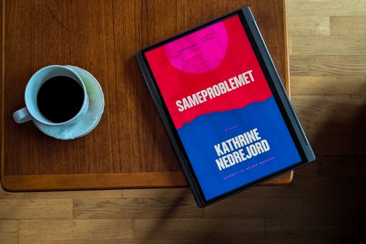 Sameproblemet av Kathrine Nedrejord