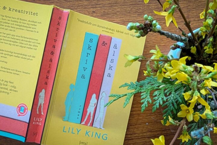 Skriva & Älska av Lily King