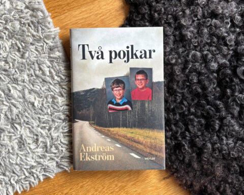 Recension av Andreas Ekströms bok "Två pojkar"